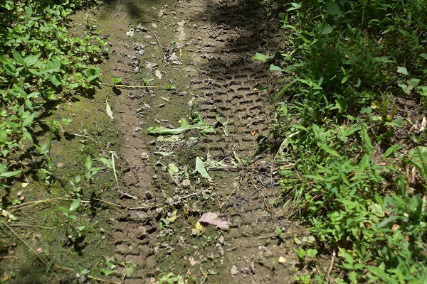 林道の道の泥 オフロードバイク タイヤ跡