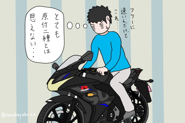 実は初心者よりも危ない リッターバイクに乗ったら危ない人の特徴まとめ あおぶさモーターサイクル